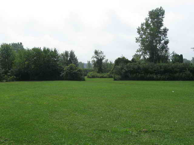 Town and Country Drive-In I & II - 2010 Photo (newer photo)